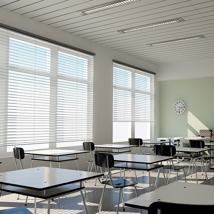 School Blinds