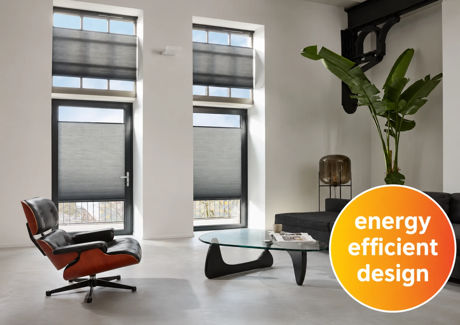 Window Shades Like No Other