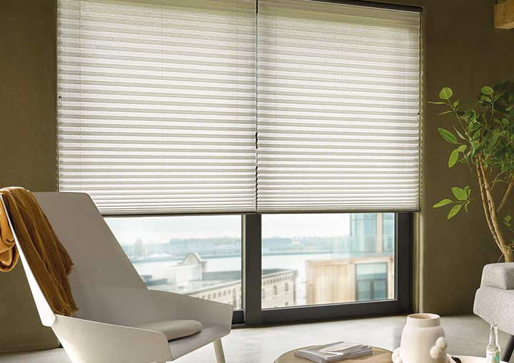 User-Friendly Operating Systems for Every Home