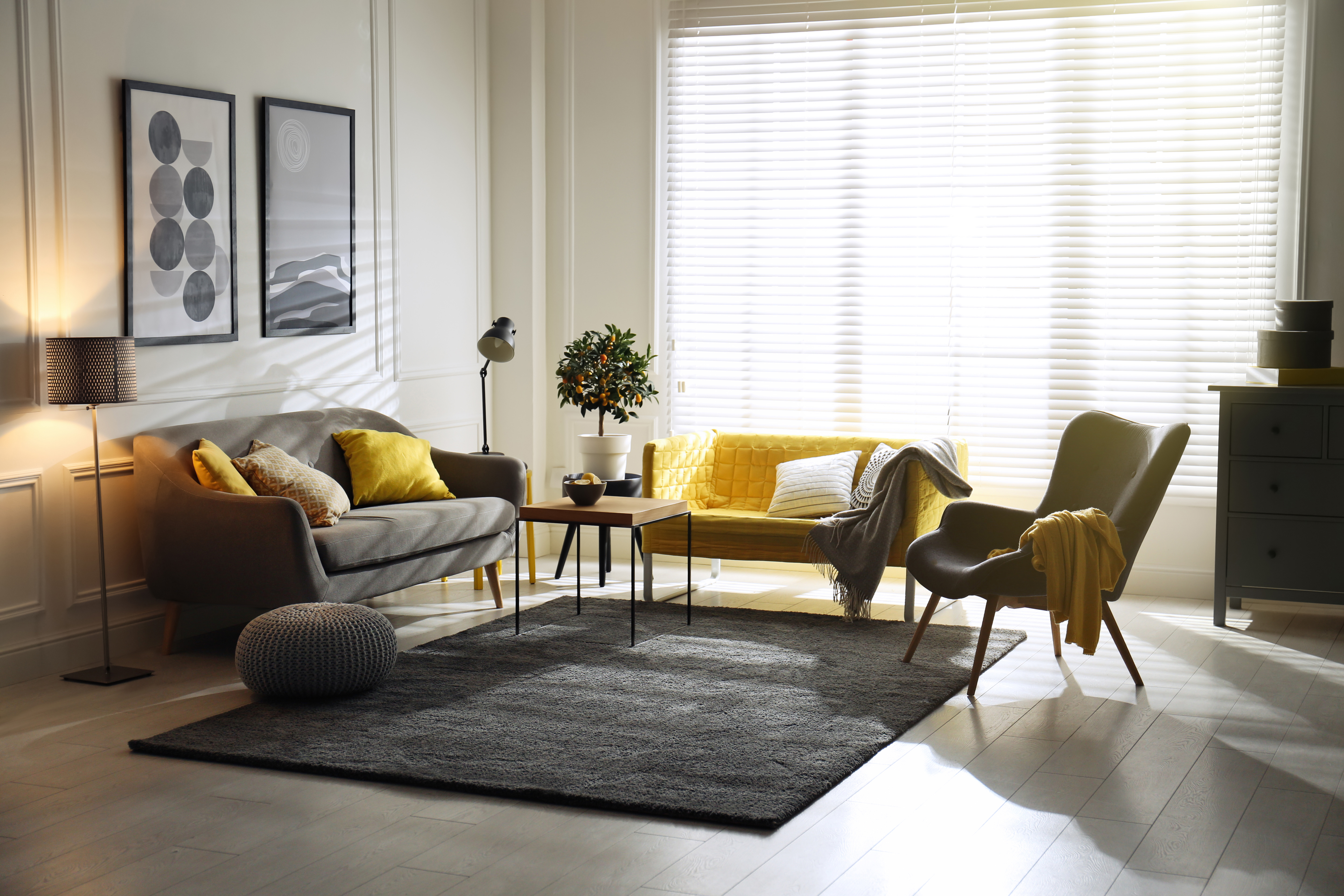 Ultimate Privacy and Light Control